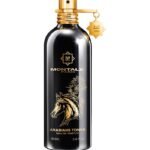 Montale Arabians Tonka Eau de Parfum | مونتال أرابيانز تونكا أو دو برفان
