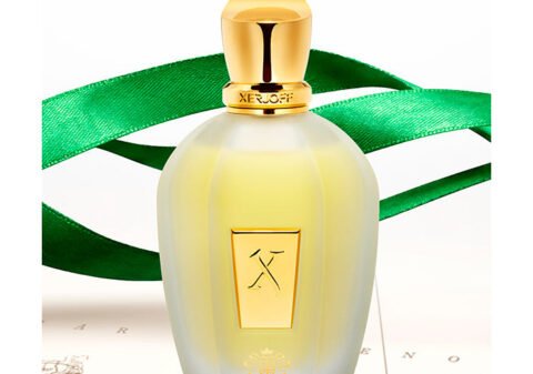 Xerjoff Naxos Eau de Parfum | زيرجوف ناكسوس أو دو بارفان