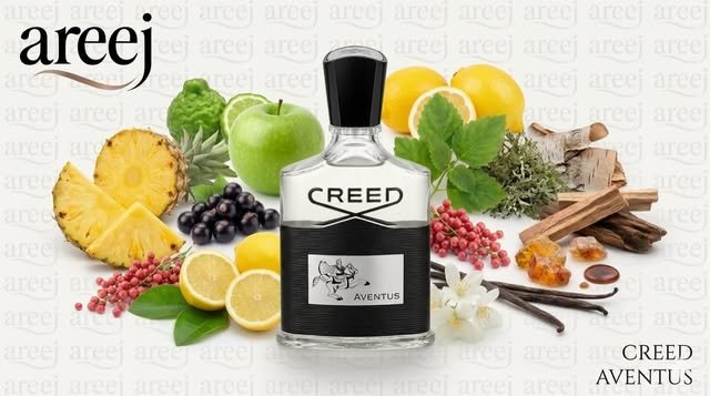 Areej fragrance collection – Instagram